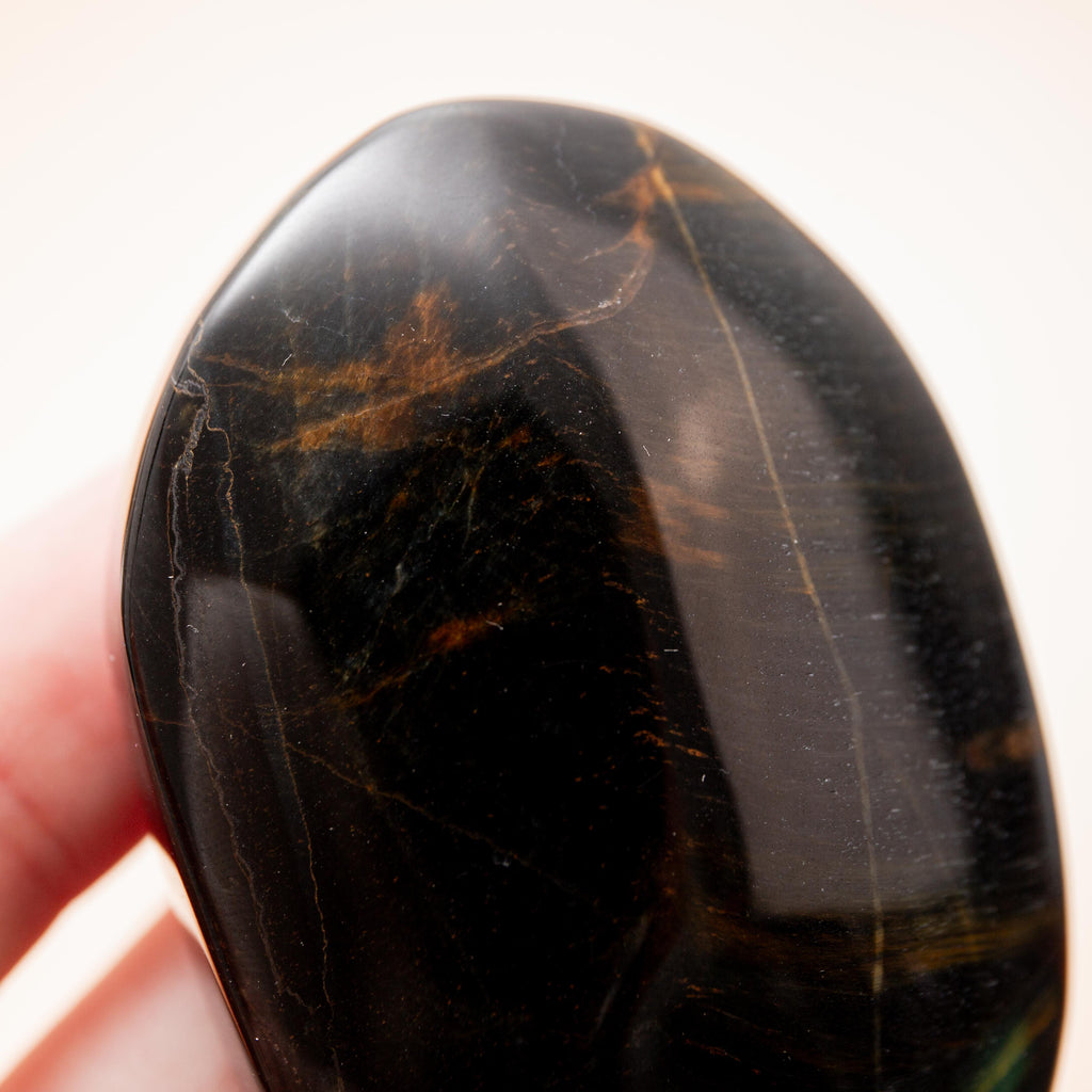 Falcon Eye - 6cm (C)