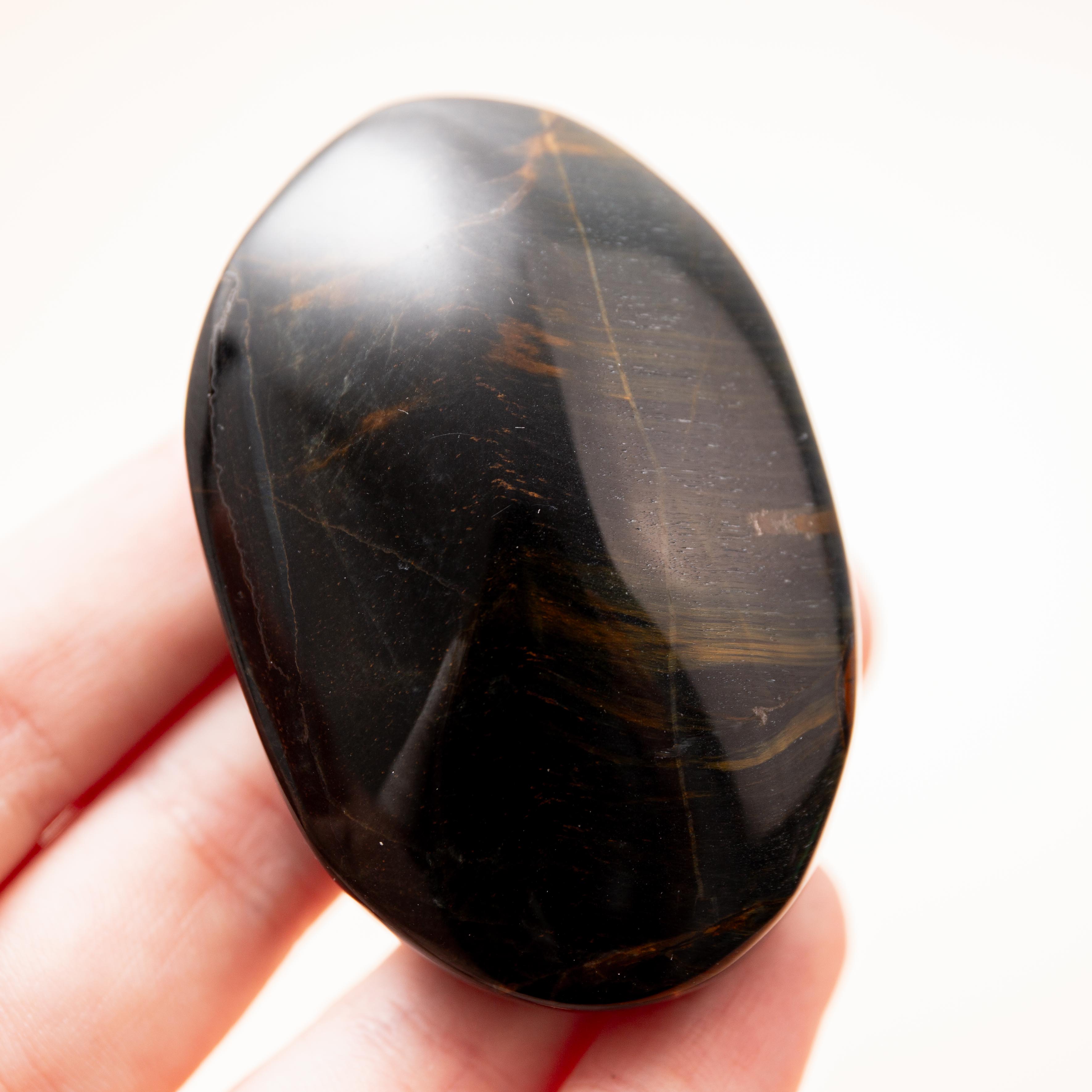 Falcon Eye - 6cm (C)
