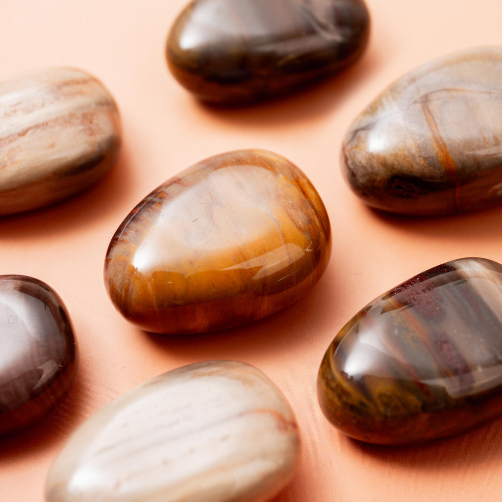 Petrified Wood Tumble Stone - 3 cm