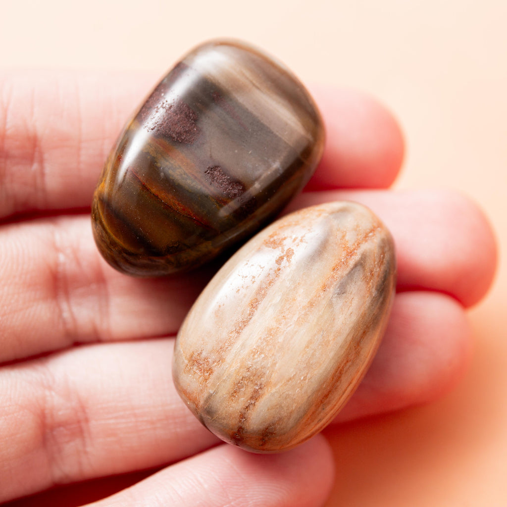 Petrified Wood Tumble Stone - 3 cm