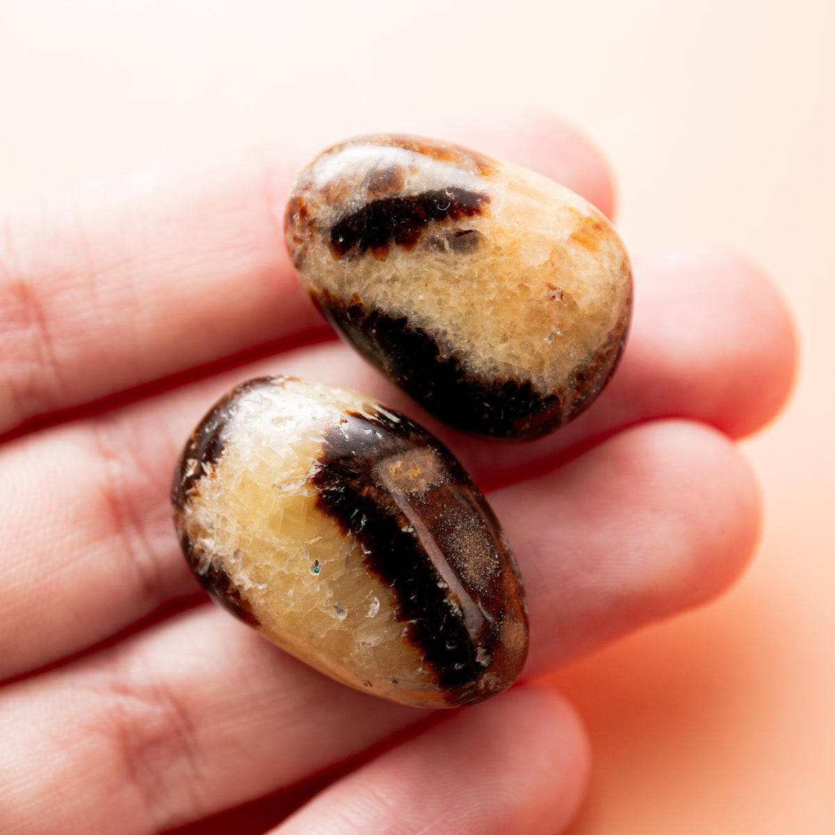 Septarian Tumble Stone - 3 cm