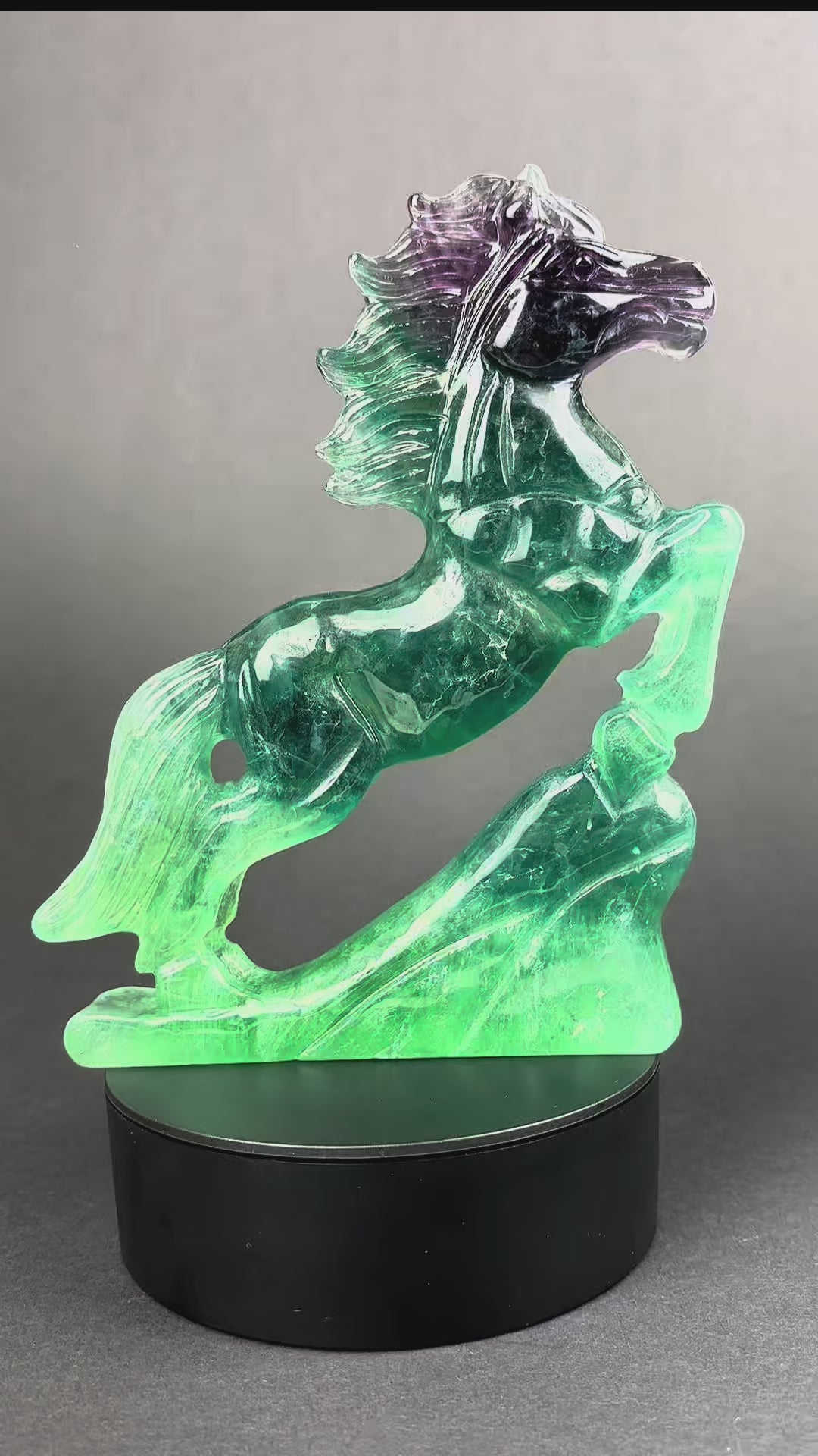 Fluorite Horse - 1.1kg